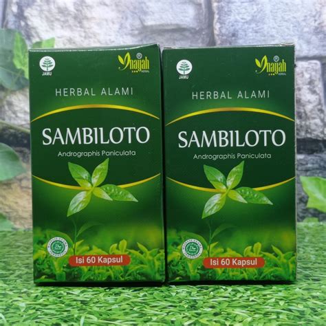 Sambiloto Kapsul Jamu Sambiloto Bubuk Daun Sambiloto Sambiloto Bubuk