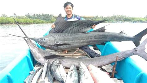 Detail Gambar Ikan Marlin Koleksi Nomer