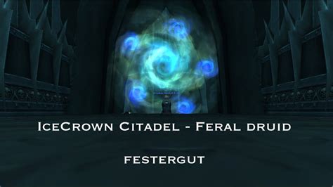 Icecrown Citadel Icc Plagueworks Festergut Feral Druid Pov