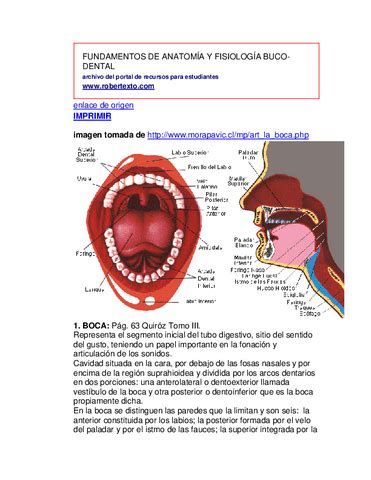 Fundamentos De Anatomia Y Fisiologia Pdf