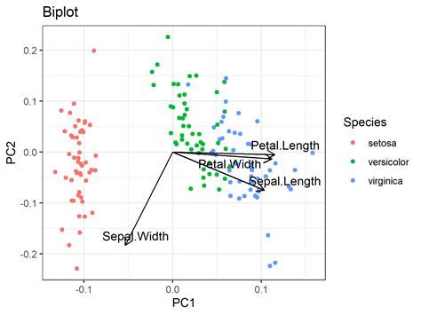 R Plotting Pca Biplot With Ggplot2 Stack Overflow Images Porn Sex Picture