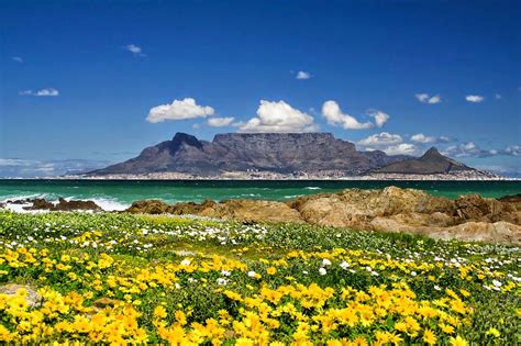 5 Five 5 Table Mountain Cape Town South Africa