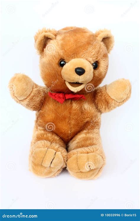 Beautiful Teddy Bear Royalty Free Stock Image Image 10033996