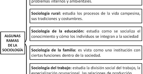 Apoyo AcadÉmico SociologÍa Clase 3 Ramas De La SociologÍa