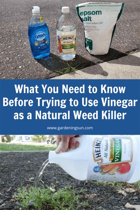 What You Need To Know Before Trying To Use Vinegar As A Natural Weed