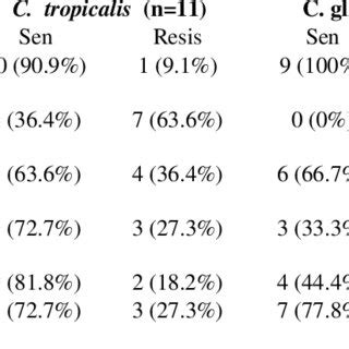 Summary Of Diagnostic Approach And Antifungal Susceptibility Testing