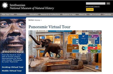 Take a Virtual Tour of the Museum of Natural History!