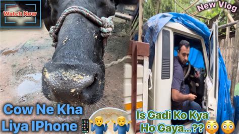 Cow Ne Kha Liya Iphone Is Gadi Ko Kya Ho Gaya New Vlog Daily