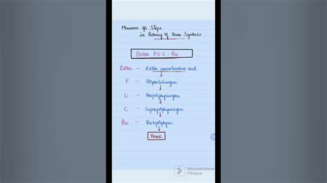 8 Easy Mnemonic To Remember Heme Synthesis Youtube