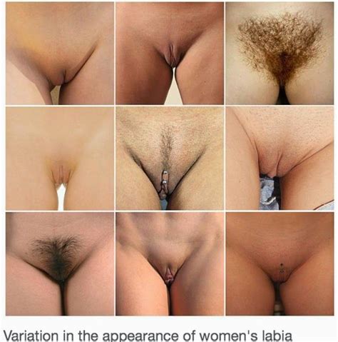 Aroused Vs Unaroused Vagina Cumception