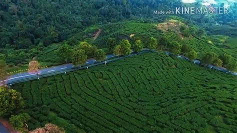 Wisata Sukabumi Kebun Teh Jayanegara Kabandungan Youtube