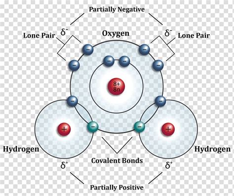 Electron Distribution Diagram Of Water