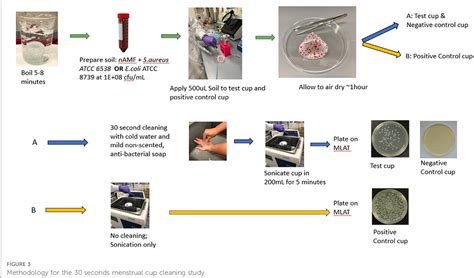 Figure From Development Of In Vitro Methods To Model The Impact Of