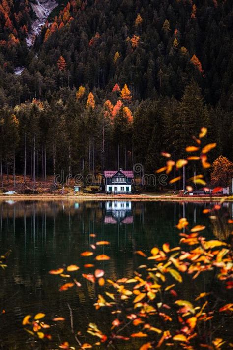 Autumn Colours Of Lake Toblacher See Lago Di Dobbiaco In Dolomites