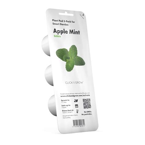 apple mint plant pods click grow