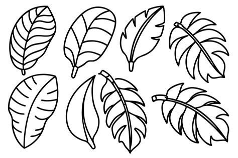 Banana Leaf Line Art Design Hand Drawing Sketch 47443486 Vector Art At