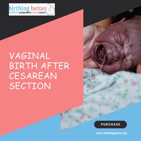 Mastering Vbac Birth A Guide To Online Birthing Classes By