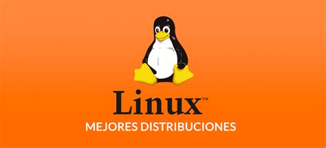 Qué Es Linux Y Sus Distintas Distribuciones Puga Y Asociados Services