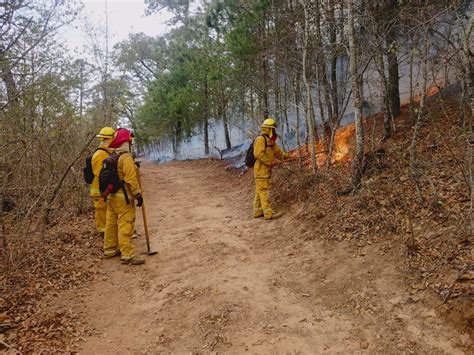 Se Mantienen Las Operaciones De Combate Contra El Incendio Forestal En