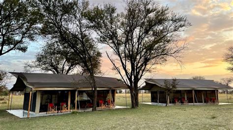 Sensational Serengeti Great Migration Adventure In Tanzania 84467