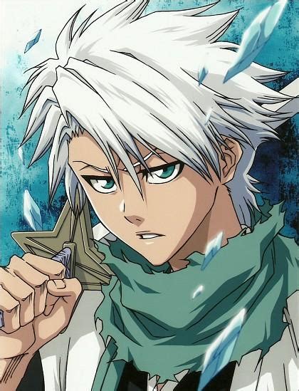 Image Hitsugaya Toshiro Profilepng Bleach Untold Stories Wiki