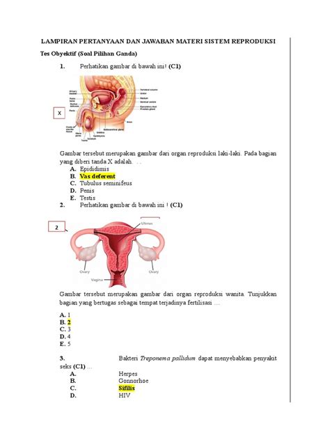 Soal Alat Reproduksi Manusiakelas 9 Materi Soal