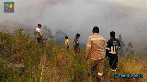 Controlan Incendio Forestal En Parque Tunari De Cochabamba