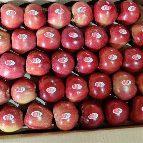 A Grade Fresh Himachali Apples Packaging Type Carton Packaging Size