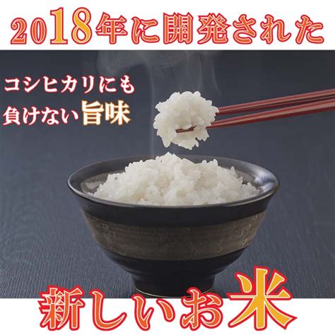 【令和5年産】 新潟県産 にじのきらめき 5kg