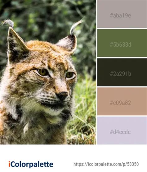 Color Palette Ideas From Wildlife Terrestrial Animal Mammal Image