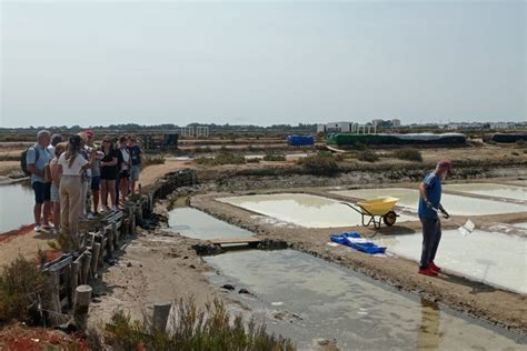 Visita guiada por las salinas del Alemán Isla Cristina