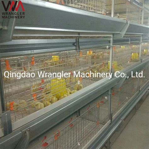 3 Tiers H Type Steel Structure Large Scale Poultry Shed Broiler Chicken