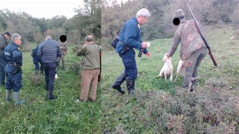 Controlli Su Caccia E Bracconaggio Salvato Cane Intrappolato In Un