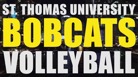 Bobcat Volleyball 2016 Youtube