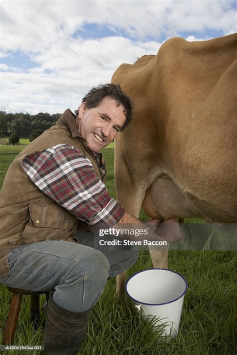 Portrait Of Mature Man Milking Cow On Meadow High Res Stock Photo