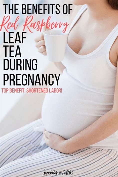 The Benefits Of Red Raspberry Tea During Pregnancy Artofit