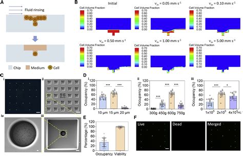 AI Aided High Throughput Profiling Of Single Cell Migration And