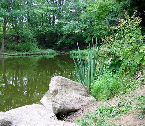 Glen Haffy Trout Ponds Aug 19 06 Wynjym Flickr