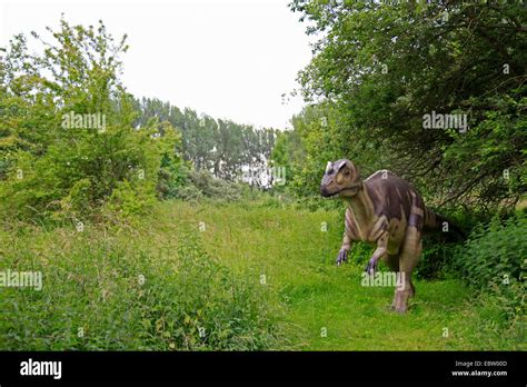 Horned Lizard Ceratosaurus On A Clearing Stock Photo Alamy