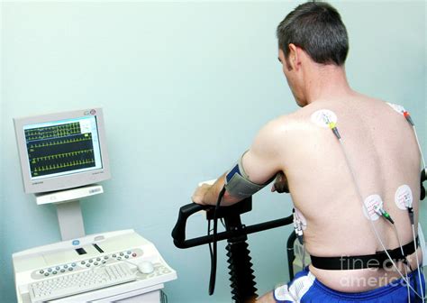 Heart Fitness Test Photograph by Aj Photo/science Photo Library | Fine ...