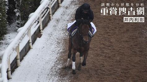 【中山記念 2023】最終追い切りを動画で解説井内利彰 競馬予想動画 Netkeiba