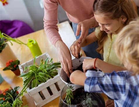 13 Fast Growing Seeds For Classroom Gardening Projects A Tutor