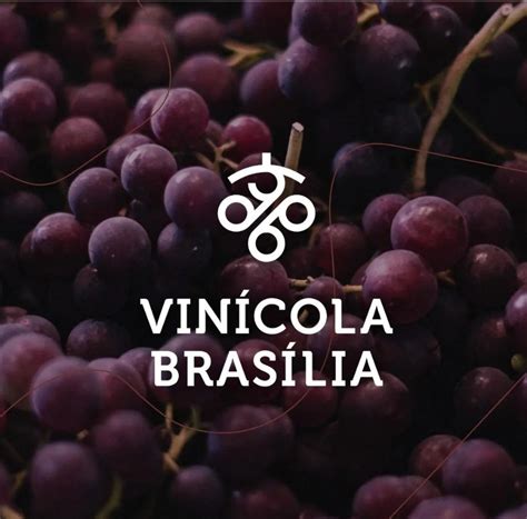 Vinho de Brasília é eleito um dos 16 mais representativos do Brasil em