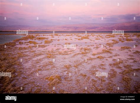 Dead Sea Israel Shore Coast Hi Res Stock Photography And Images Alamy