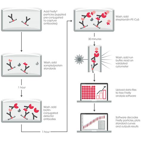 Human Key Cytokines 15 Plex Multiplex Immunoassay Kit Ab213392