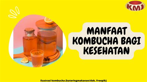 7 Manfaat Kombucha Bagi Kesehatan Sumber Prebiotik Alami