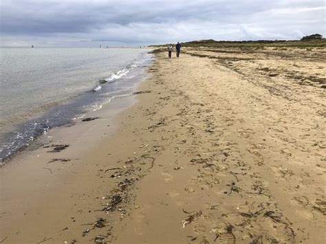 Studland Beach And Nature Reserve Studland Bay England Top Tips