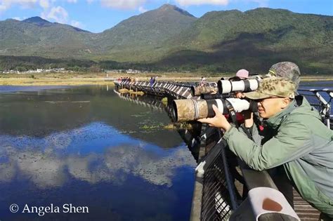 11天云南西部拍鸟之旅收获185种鸟类！满载而归！ 野去自然旅行