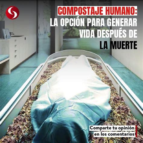 Compostaje Humano La Opci N Para Generar Vida Despu S De La Muerte