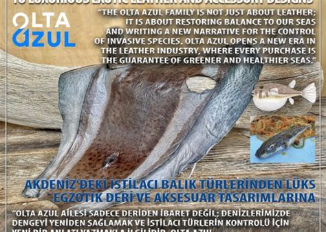 home  magazine leather